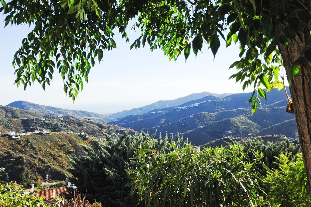 Villa Andalucia Cómpeta エクステリア 写真