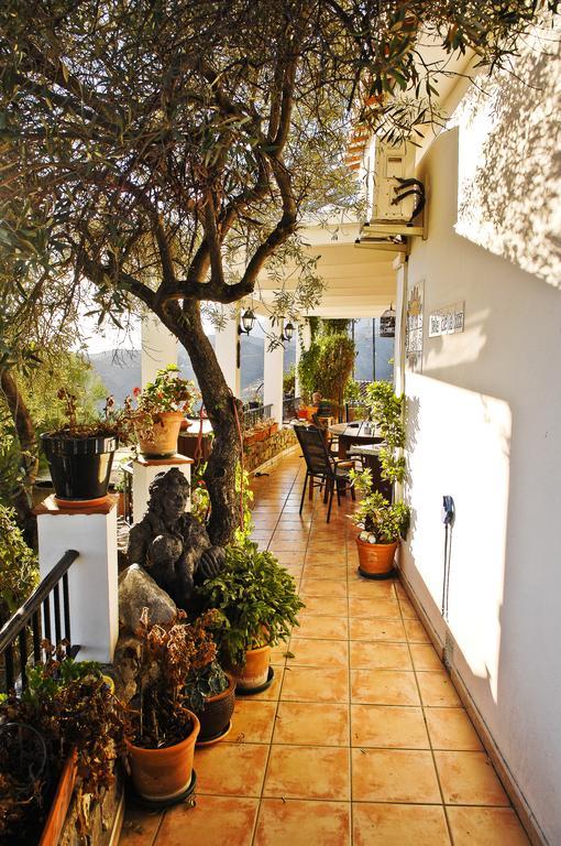 Villa Andalucia Cómpeta 部屋 写真