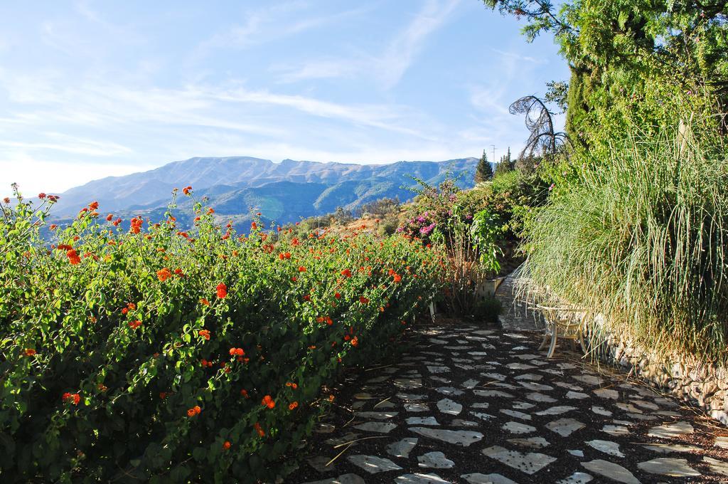 Villa Andalucia Cómpeta エクステリア 写真