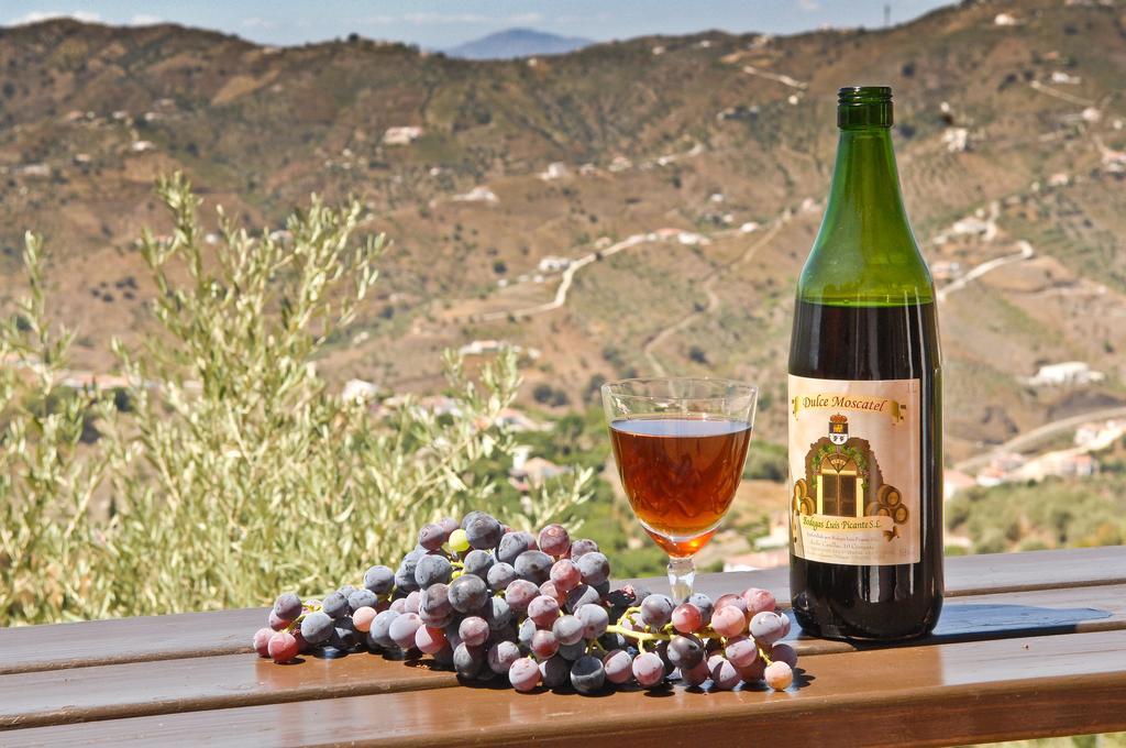Villa Andalucia Cómpeta エクステリア 写真