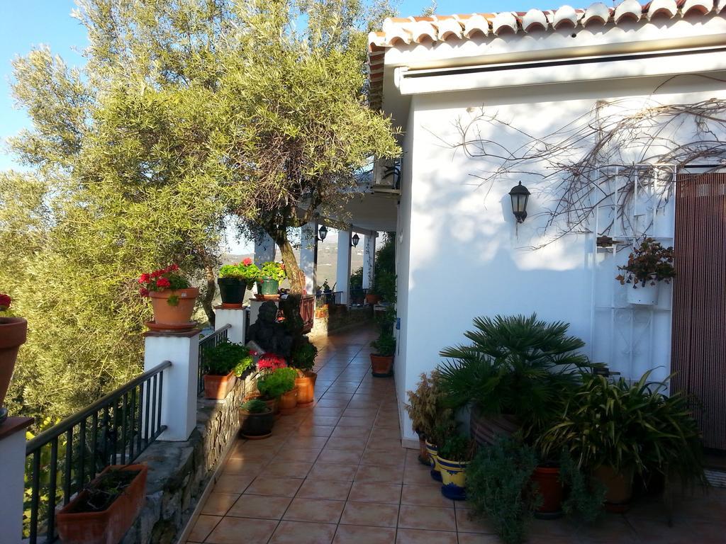 Villa Andalucia Cómpeta 部屋 写真